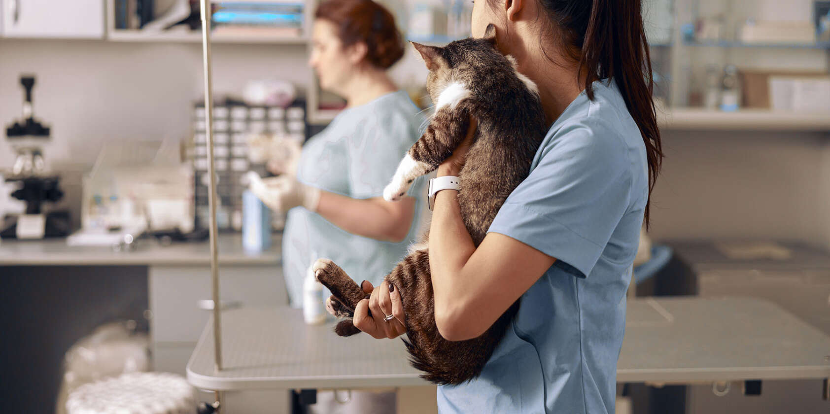 For Veterinarians & Vet Professionals