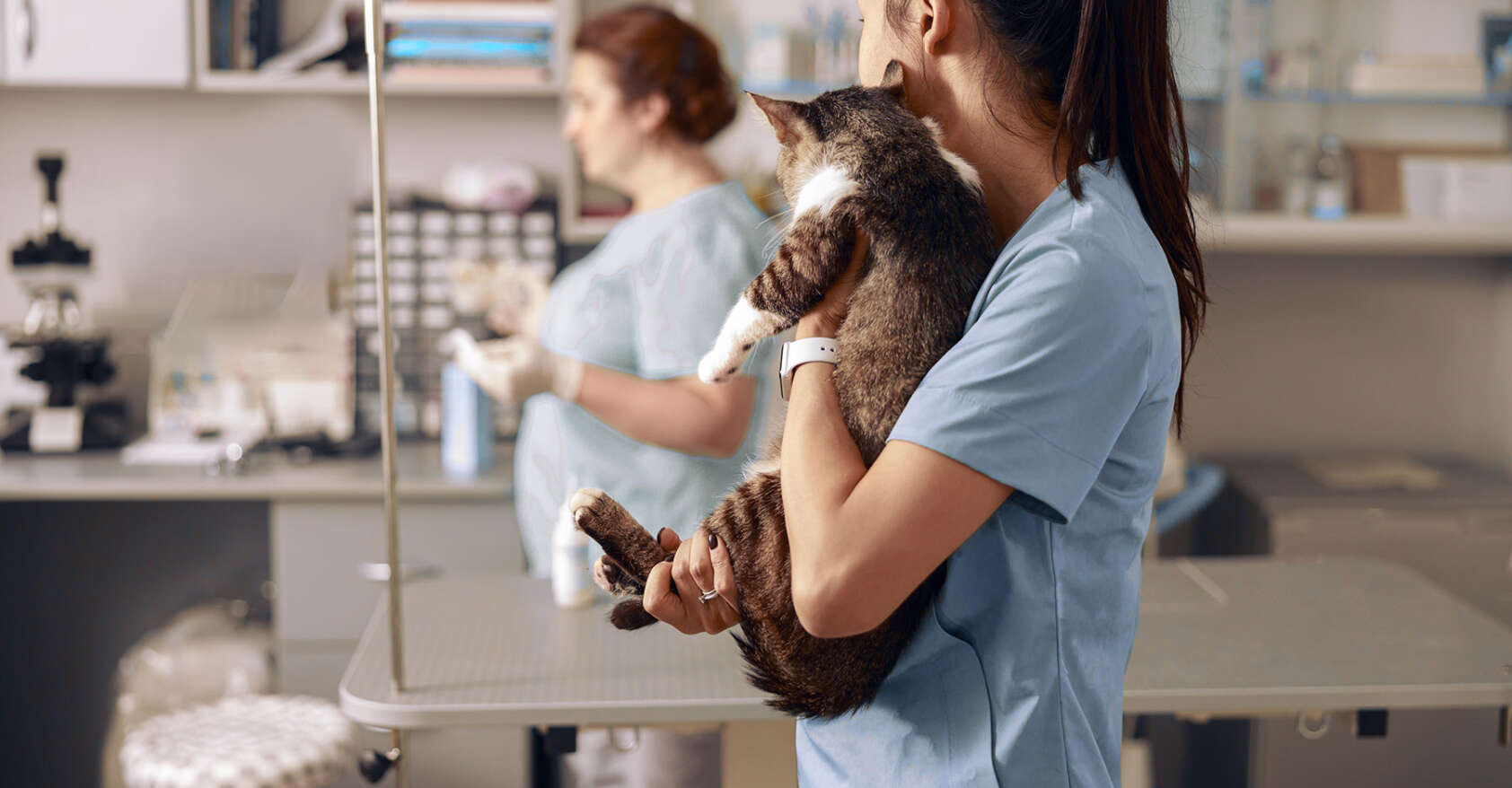 Veterinarian embraces adorable cat