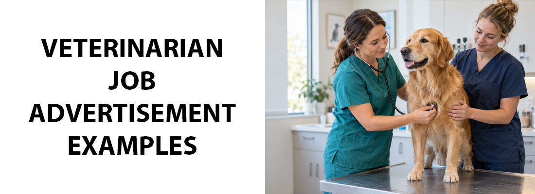 Veterinarian Job Advertisement Examples