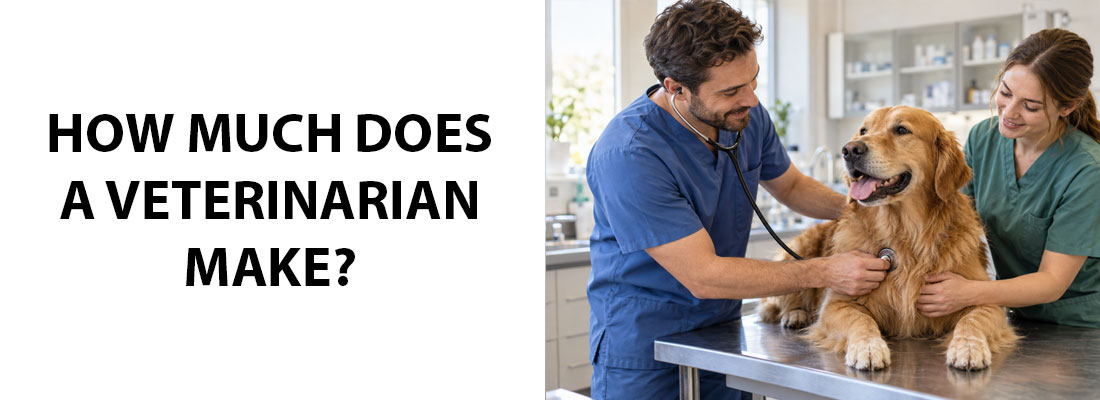 How Much Does A Veterinarian Make?